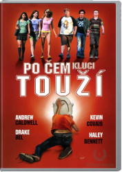 Po čem kluci touží - DVD