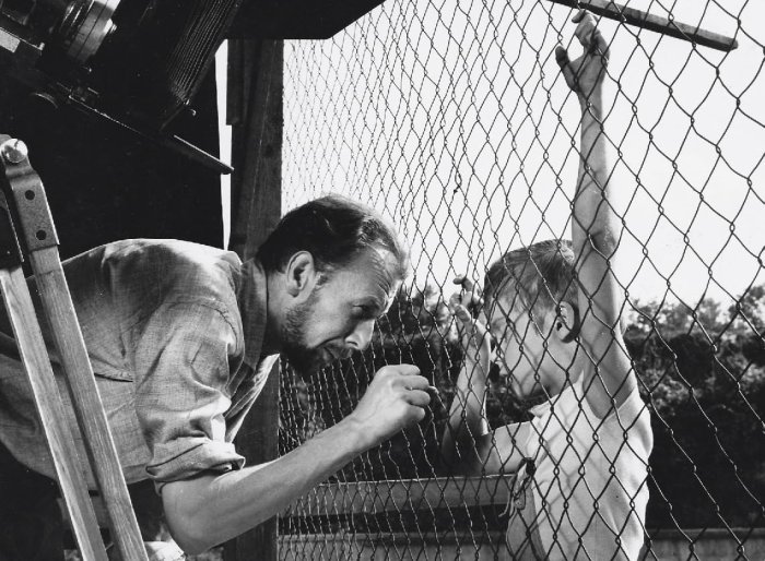 detail Holubica - Blu-ray + DVD