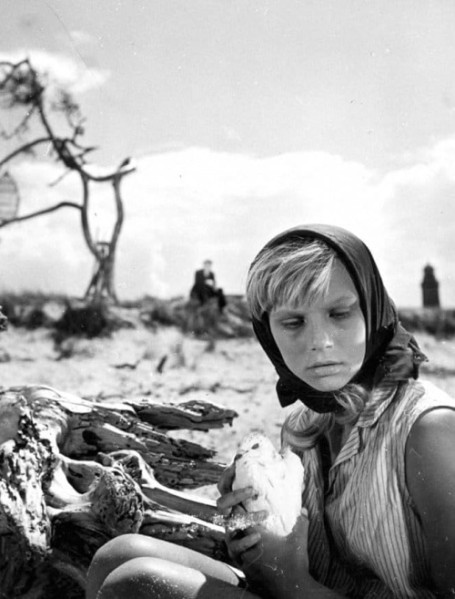 detail Holubica - Blu-ray + DVD