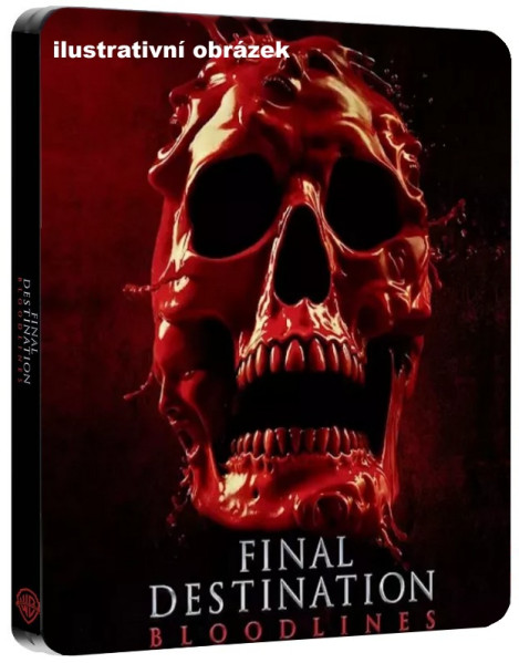 detail Nezvratný osud: Pokrvné puto - 4K Ultra HD Blu-ray + Blu-ray Steelbook (Alt Skull)