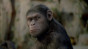 náhled Zrození Planety opic - DVD
