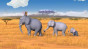 náhled Nejmenší slon na světě - DVD